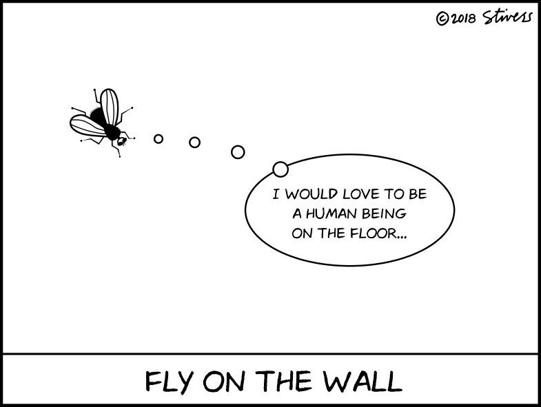 Fly on the wall